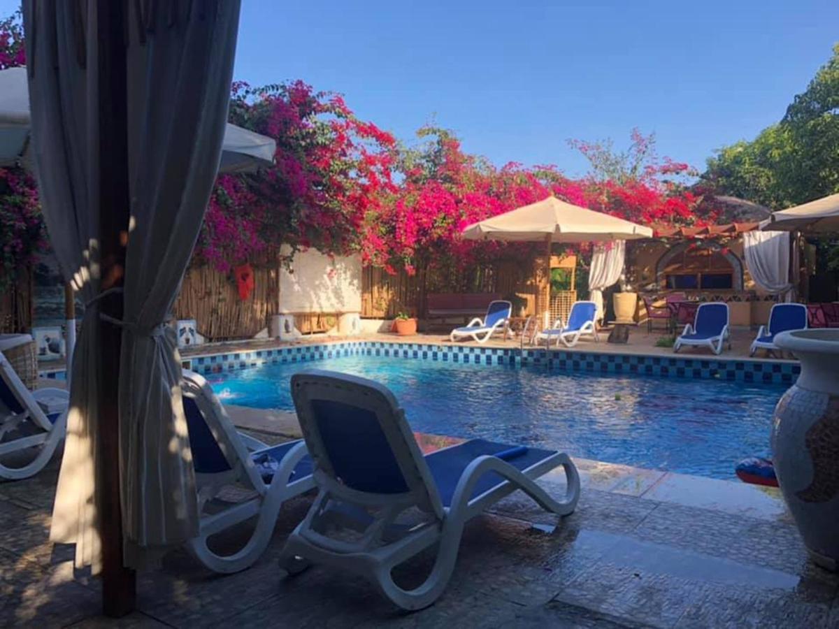 Nile Compound Hotel Luxor Exterior foto